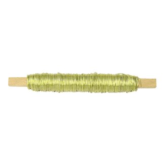 HBXD Hobby Binding Wire 50gr D0.5mm