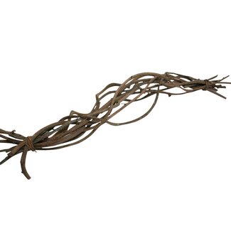 HBXD Bundle Crazy Vine 10 Pcs L60