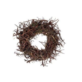 HBXD Wreath Bonsai Moss LED D40