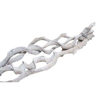 HBXD Branch Curly Vine L200 D4/7