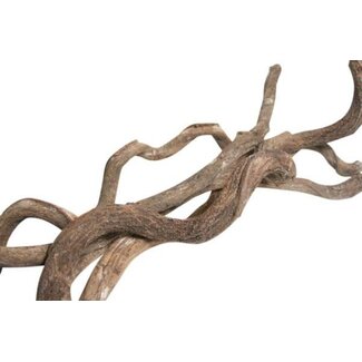 HBXD Branch Curly Vine L200 D4/7