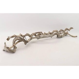 HBXD Bundle Curly Vine 3pcs L100 D2/5