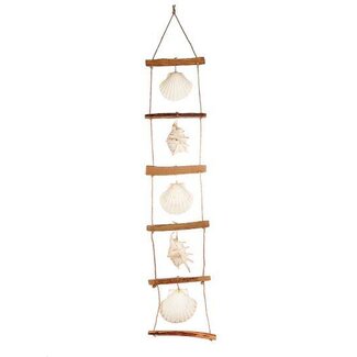 HBXD Hanger Shell Ladder L18W4H92