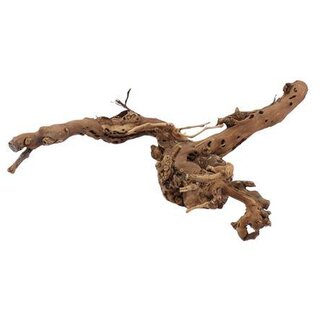 HBXD Branch Grape 2 Arm L75