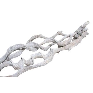 HBXD Bundle Curly Vine 5pc L60 D2/5