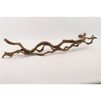 HBXD Bundle Curly Vine 3pcs L100 D2/5