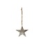Hanger Snow Star L10W10H1