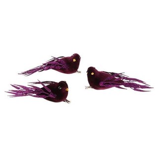 HBXD Bird Regalia 3pcs L15W15H6