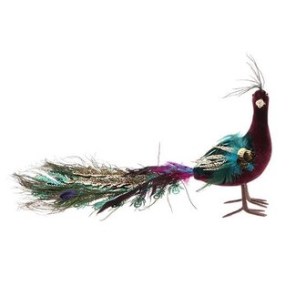 HBXD Peacock Regalia L40W8H20