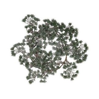 HBXD Wreath Ceder H10D50