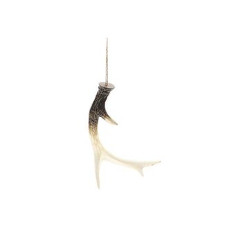 HBXD Hanger Antler L16W6H22