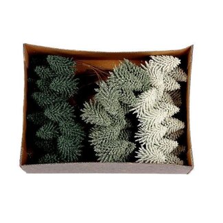 HBXD Bunch Tree Nobilis H4 Bnd 6pcs