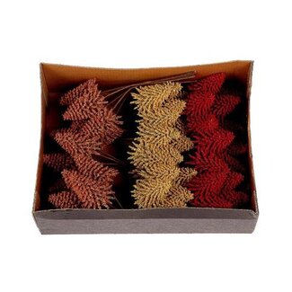 HBXD Bunch Tree Nobilis H4 Bnd 6pcs