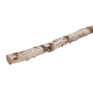 HBXD Branch Birch L150 D4/6