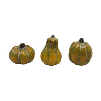 HBXD Pumpkin Patch 3Ass L4.8W4.5H6