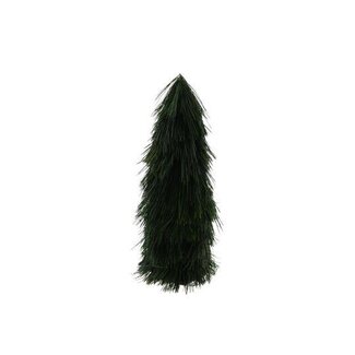 HBXD Tree Masson Pine H40D19
