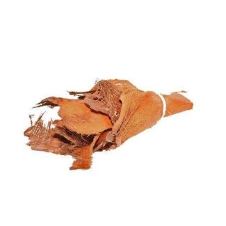 HBXD Bundle Palm Bakla 10pcs