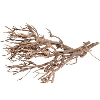HBXD Bundle Twig L30