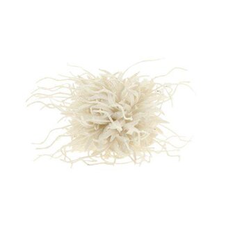 HBXD Hanger Spider Carnation D16