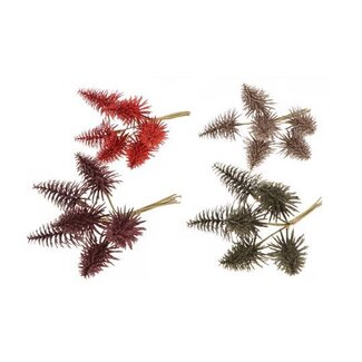 HBXD Bunch Tree Nobilis Bnd 6pcs
