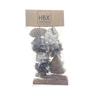 HBXD Pinecone/Cinnamon 11pcs
