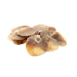 HBXD Shell Capiz 500g