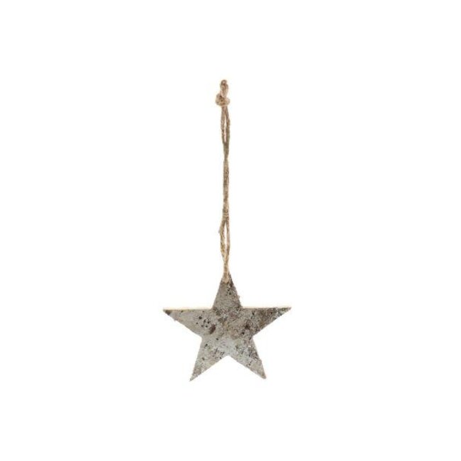 Hanger Snow Star L10W10H1