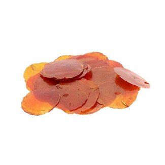 HBXD Capiz Shell 500g