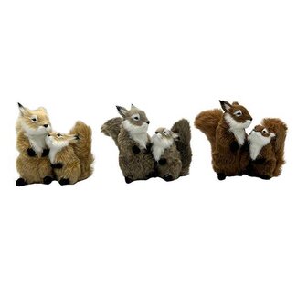 HBXD Squirrel 3ass. H13