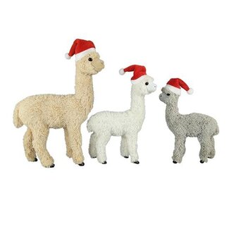 HBXD S/3 Llama w/Hat H30