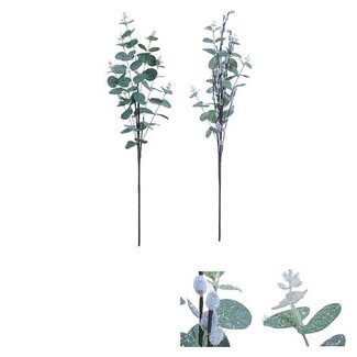 HBXD Stem Eucalyptus 2ass. L77
