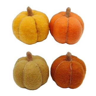 HBXD Pumpkin 4ass. H15