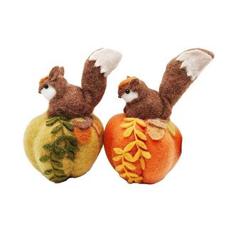 HBXD Squirrel on Pumpkin 2ass. H20