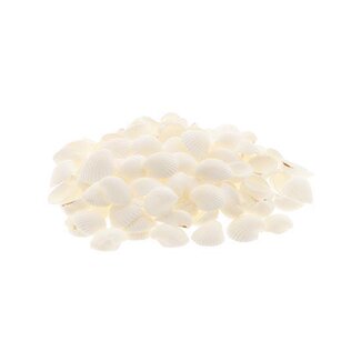 HBXD Shell Clamrose 1kg