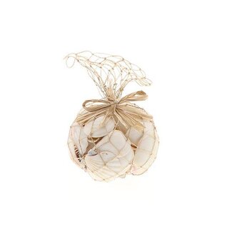 HBXD Shell White Ocean 500gr