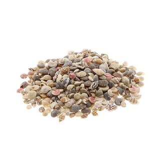 HBXD Shell Ocean small 1kg