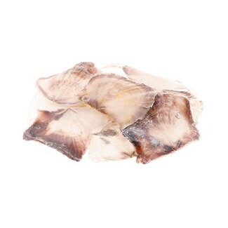 HBXD Shell Placuna 1kg