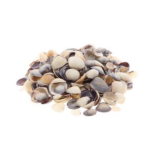 HBXD Shell Caycay 1kg