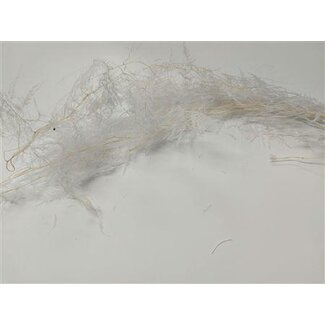 HBXD Bunch Asparagus 100g Pres.L100
