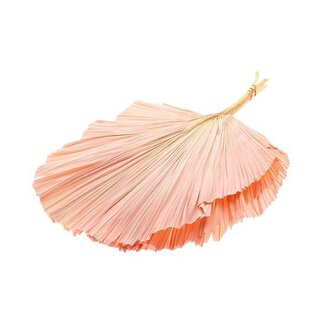 HBXD Bunch Palm Spear Pres. 3Pcs L90W45