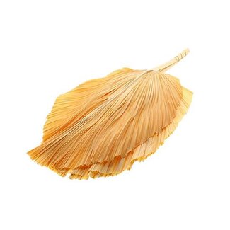 HBXD Bunch Palm Spear Pres. 3Pcs L90W45
