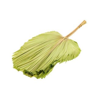 HBXD Bunch Palm Spear Pres. 3Pcs L90W45
