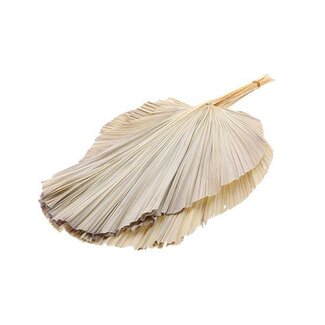 HBXD Bunch Palm Spear Pres. 3Pcs L90W45