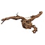 Branch Grape 2 Arm L75