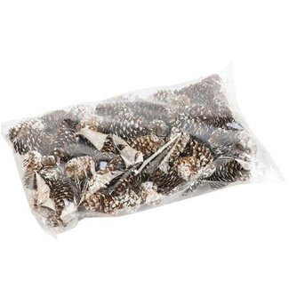 HBXD Pinecone Mini Spruce 180g L4
