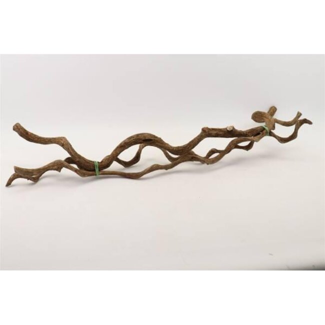 Bundle Curly Vine 3pcs L100 D2/5