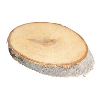 HBXD Slice Birch Oval L15/19 W8/11 H2