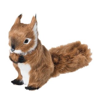 HBXD Squirrel L17