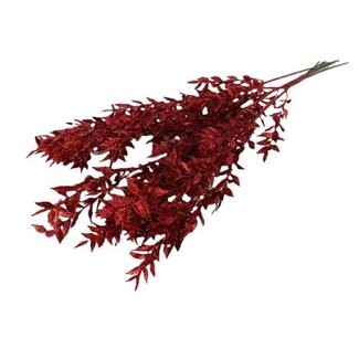 HBXD Bunch Ruscus Glitter Pres. 5pcs L65