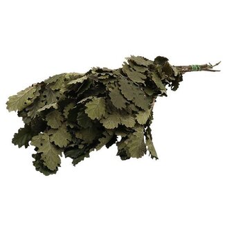 HBXD Bunch Oak Mini Pres. 150g L55